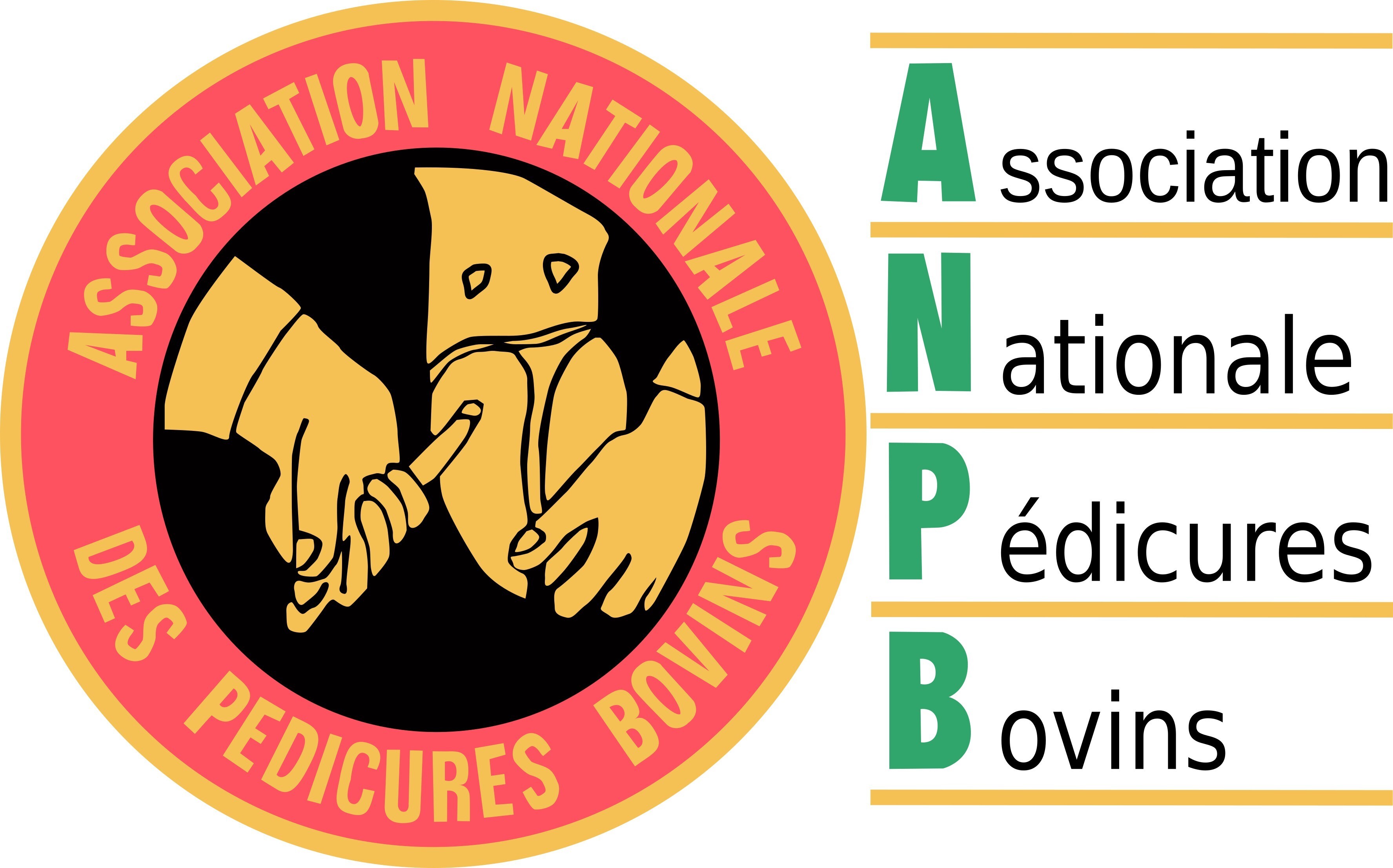 logo ANPB