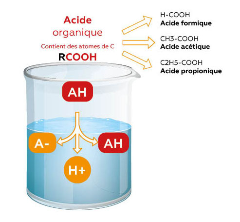 acide organique