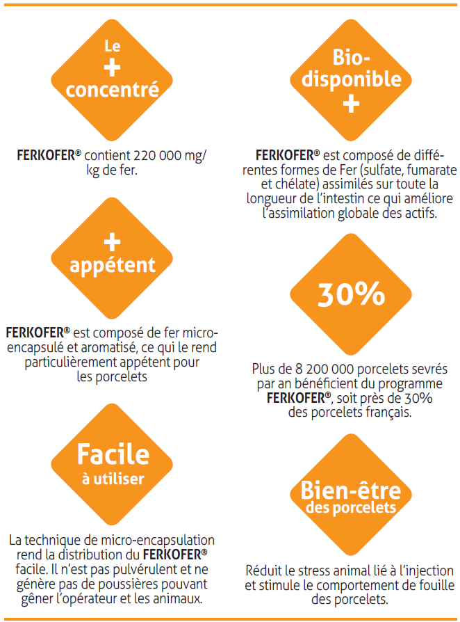 arguments FERKOFER