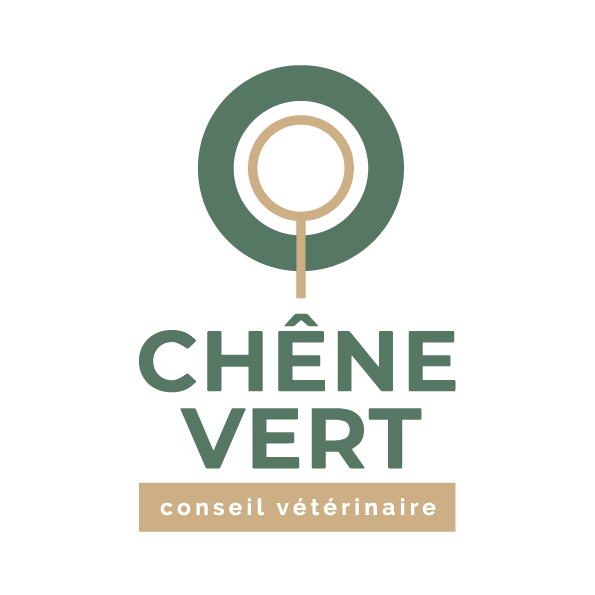 CHENE VERT