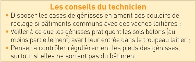 conseils technicien Lettre SE bovin 11