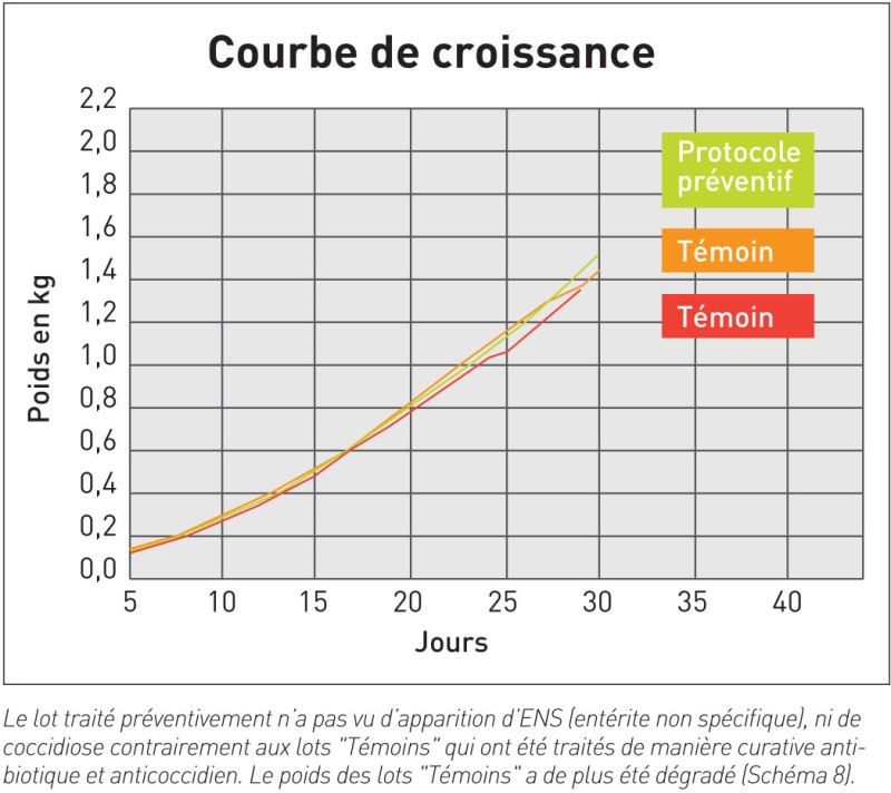 Courbe de croissance Essai 2