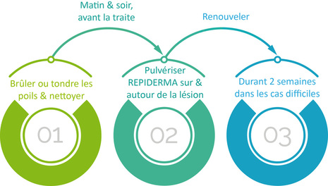 cycle-repiderma