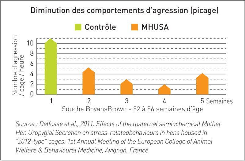 Graphique diminution des comportements d'agression secure poultry