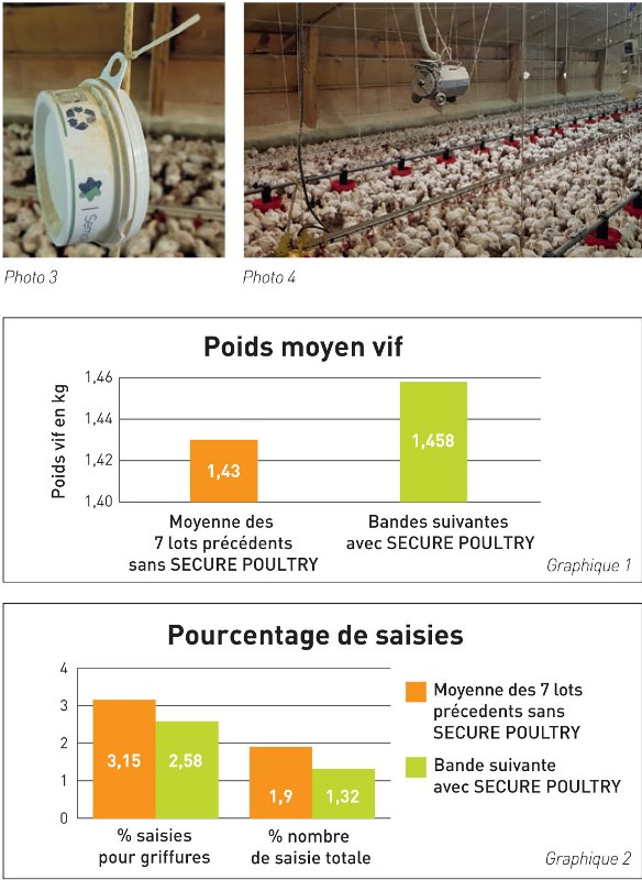 Essai 1 Secure poultry - lettre SE volaille 09-2018