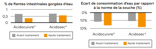 Fientes intestinales 2.PNG