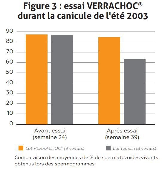 Figure 3 Verrachoc