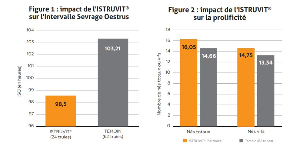 Figures 1 et 2 Istruvit