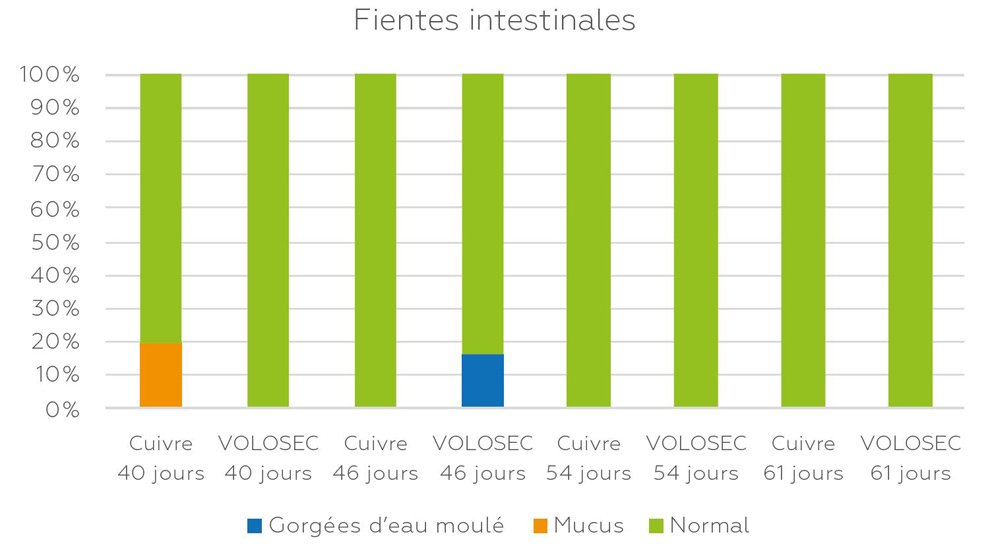 graphique comparaison fientes cuivre et volosec