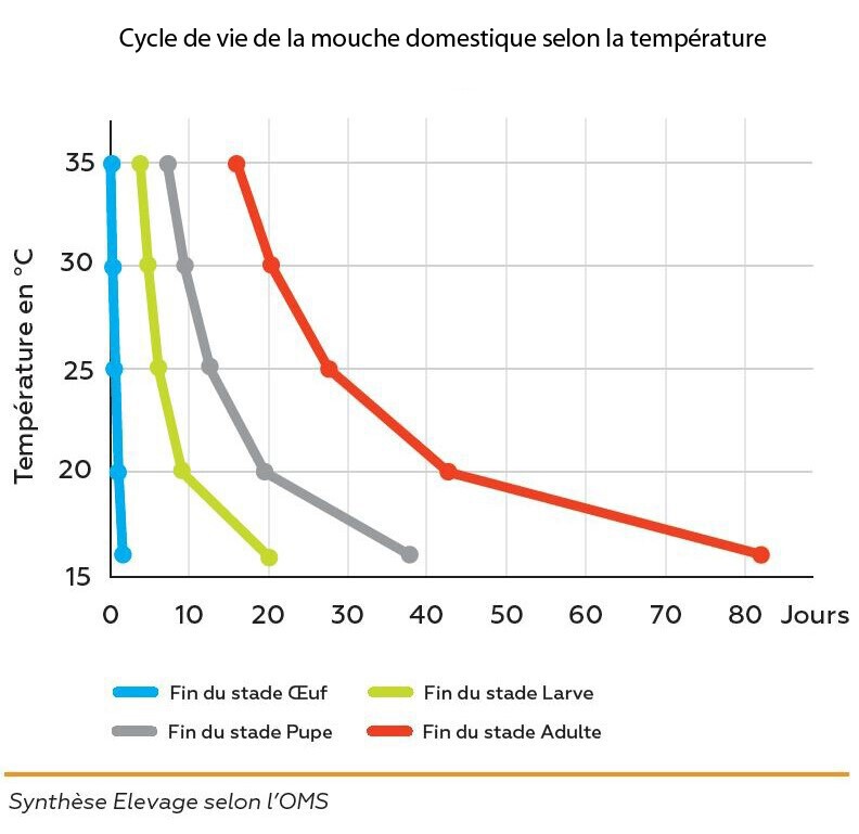 graphique cycle mouche selon t°