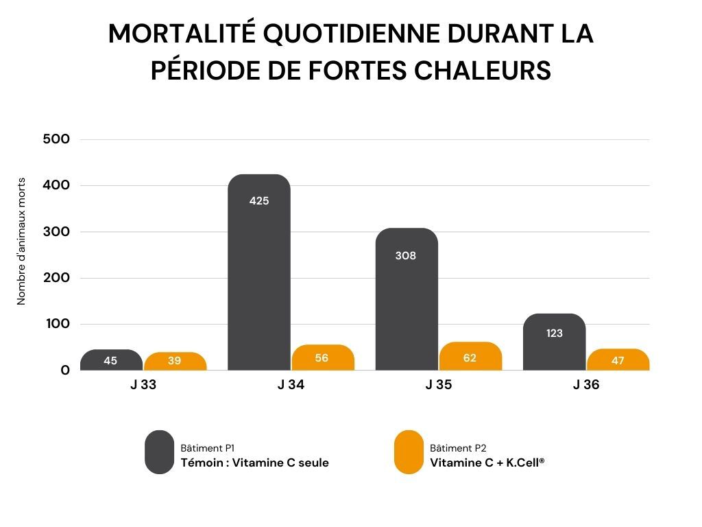 graphique mortalité chaleurs