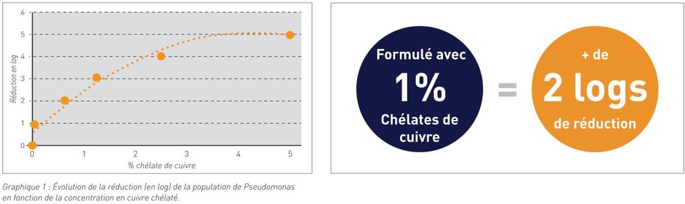 graphique 1 et image 1