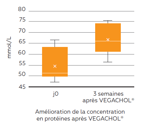 graphique évolution concentration en protéines totales