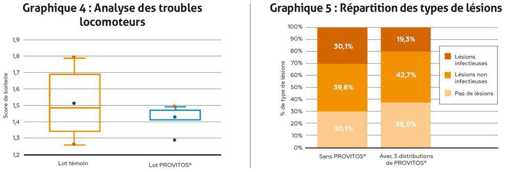 graphiques 4 et 5 troubles et lésions