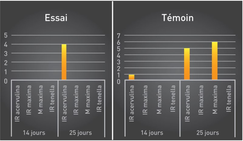 Graphiques Essai 2