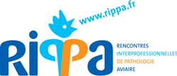 logo_RIPPA-quadri
