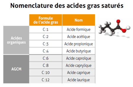 nomenclature AG