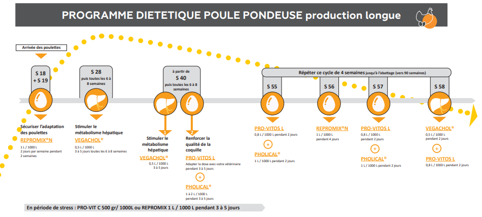 Programme diététique de la poule pondeuse