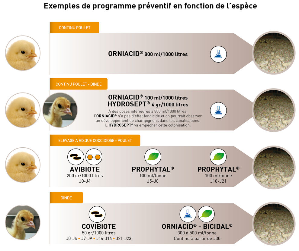 programme-preventif