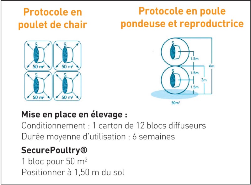 protocole secure poultry-Lettre SE volaille 09-2018