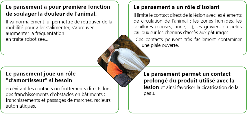 schema-pansement-pourquoi