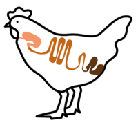 schema-poulet2