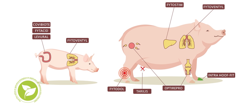 schema illustration gamme UAB