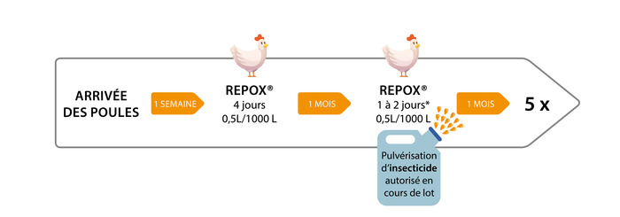 schema-protocole-repox