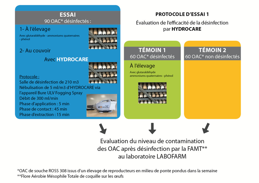 schema-protocole1