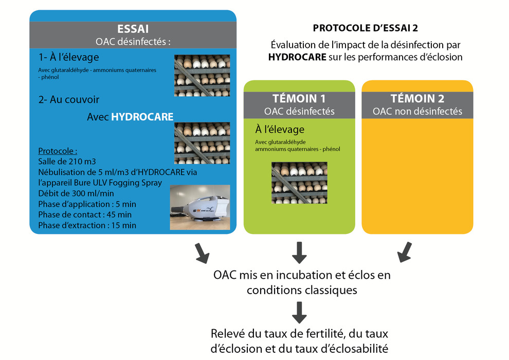 schema-protocole2