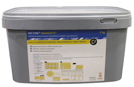 SECTINE MAGGOTS 5 KG