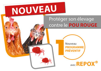 affiche repox pou rouge