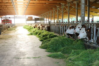 Ferme de Bornette