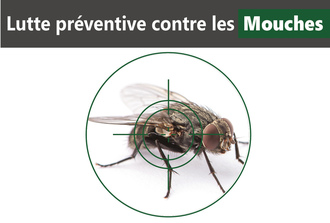 image article prévention mouches