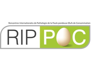 LOGO RIPPOC